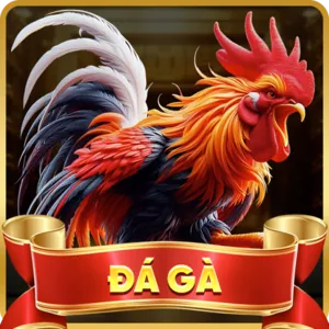 Đường dây nóng 88kim tặng 88k